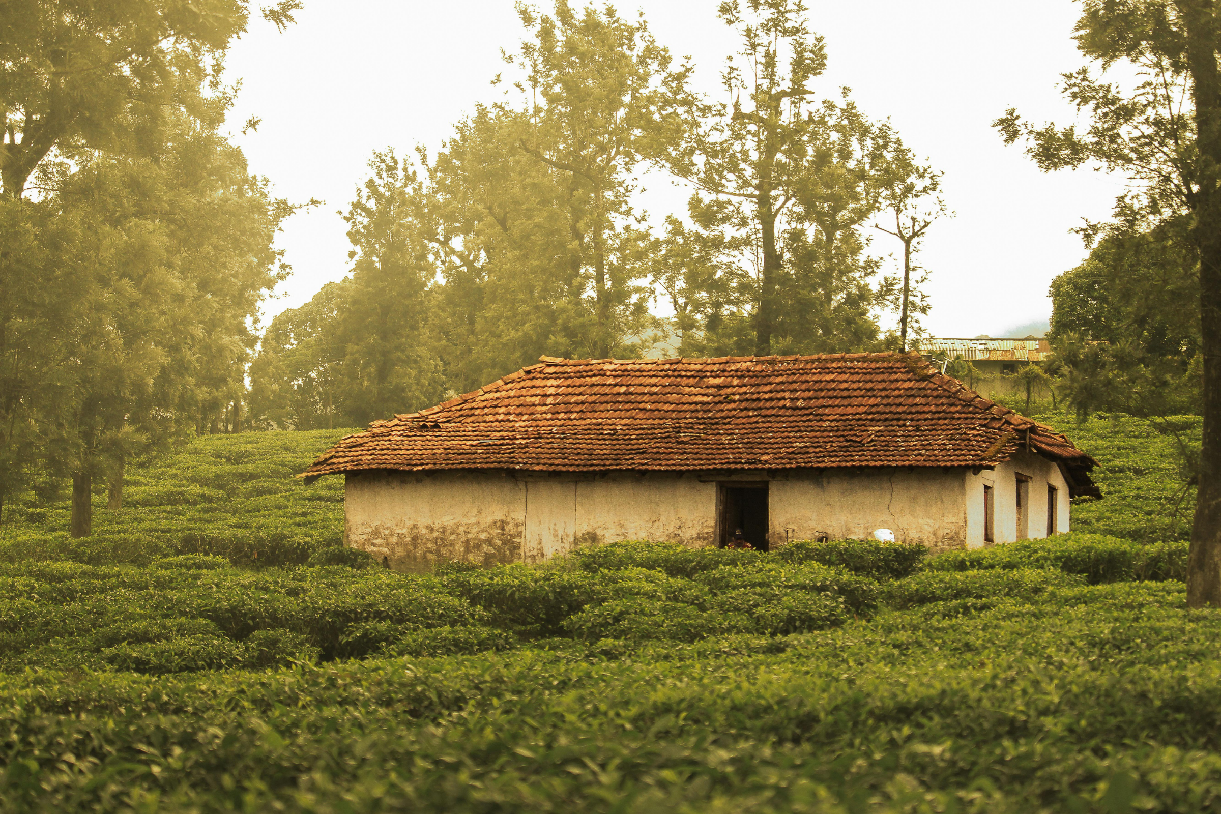 saty village (4).webp